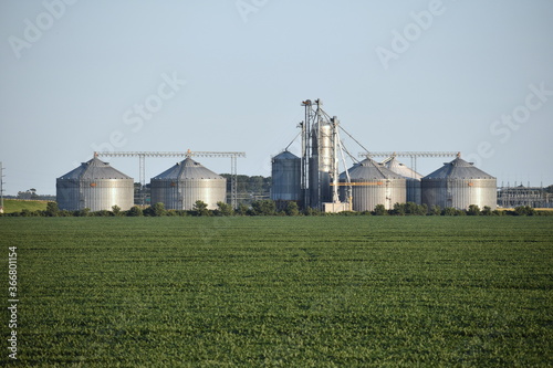 Grain Silos in Eastern North Carolina at Sunset behind Corn Field