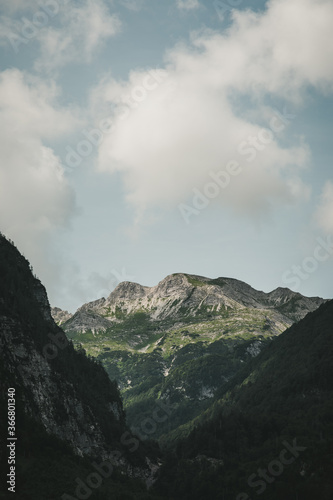View of Julian Alps in Slovenia, covered with spruce forest during summer.