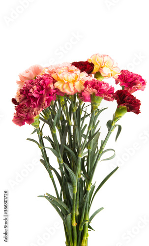beautiful bouquet of mix carnations