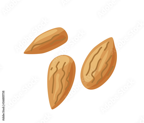 Three almond nuts in bright color cartoon flat style isolated on white background. Healthy food vector illustration. Organic meal concept