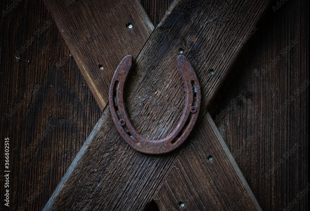 horseshoe on an old wooden door