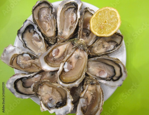 Oyster dish
