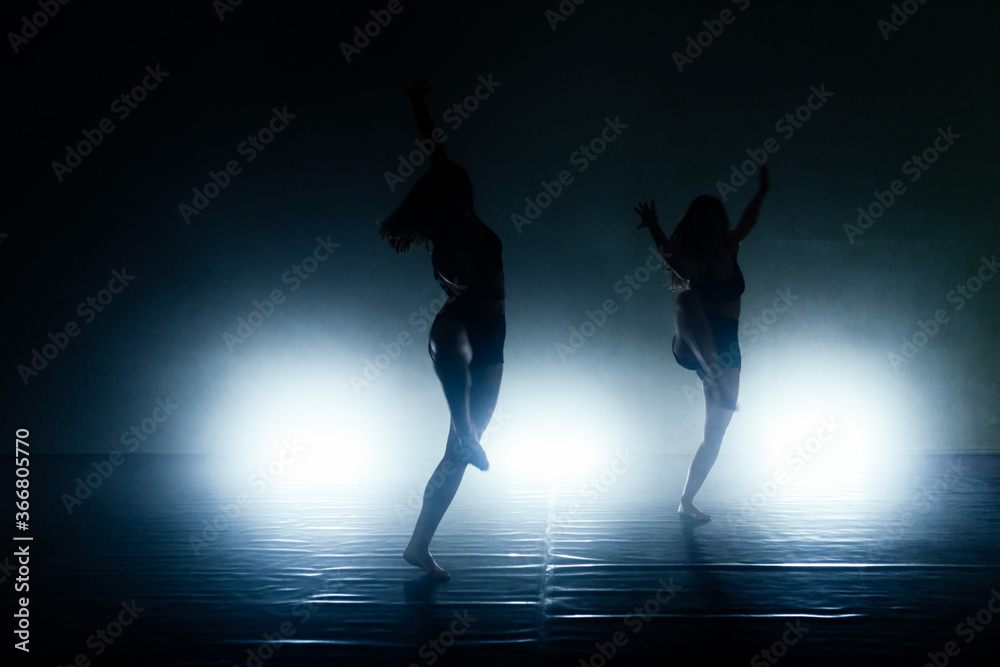 Ballet dance silhouette partners