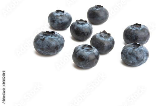 blueberry isolated