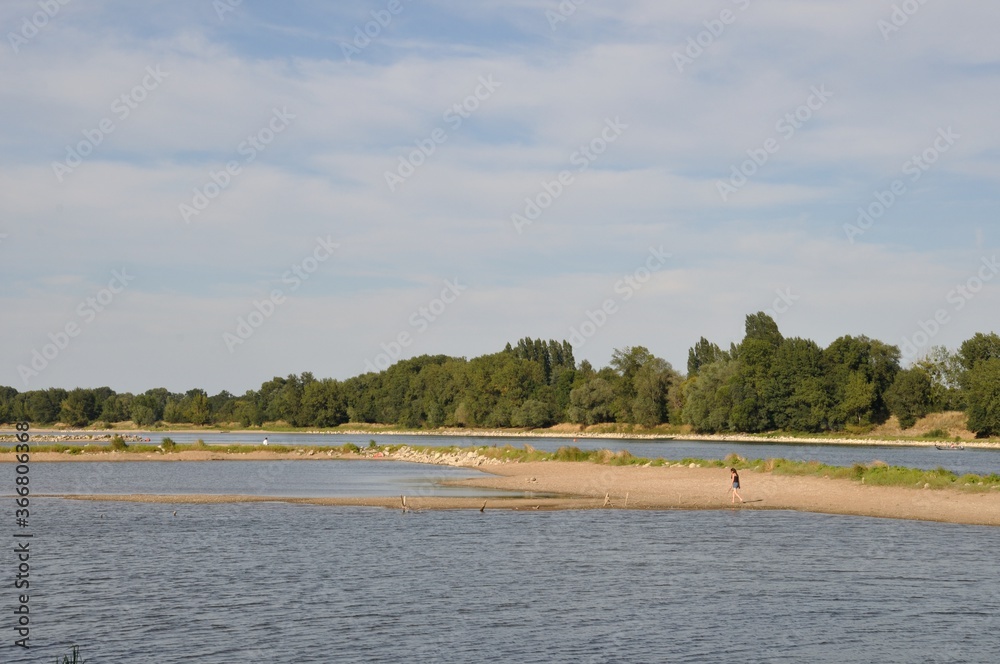 The edges of the Loire at Bouchemaine The edges of the Loire at Bouchemaine