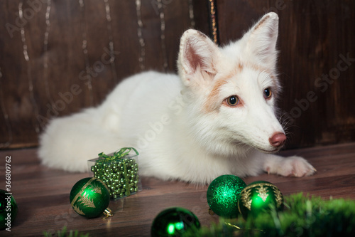 white fox green New Year decorations