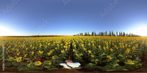 4K 360 VR Virtual Reality A man walks across a field with a blooming sunflower during sunset