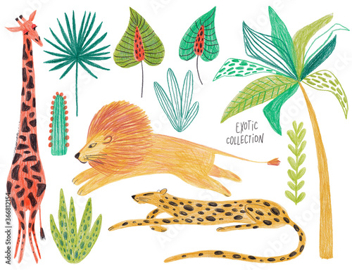 Photography Exotic Set Of Isolated Animals and plants.