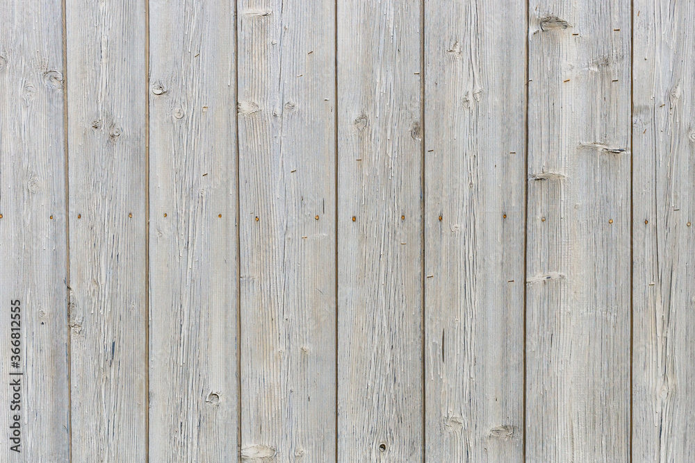 The white wood texture with natural patterns background The white wood texture with natural patterns background