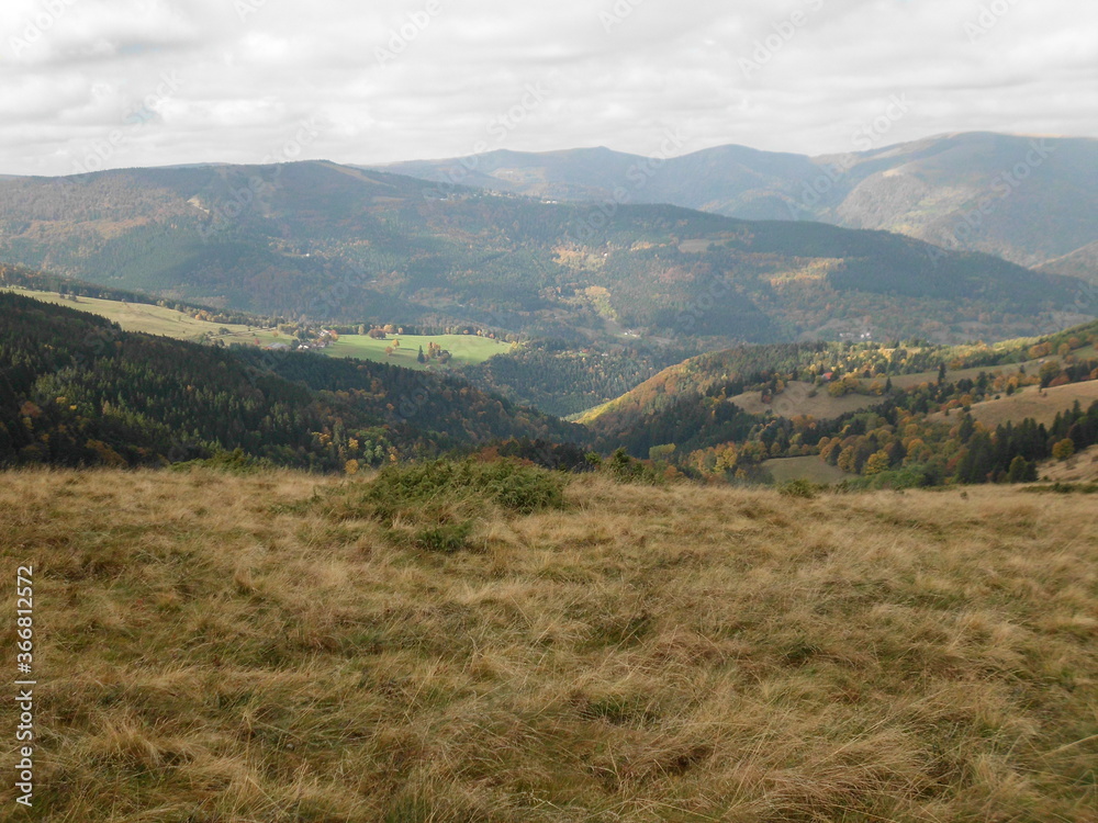 Landschaft Landschaft
