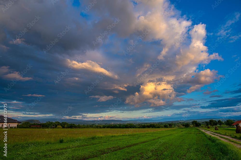 Summer landscape at the sunset after rain