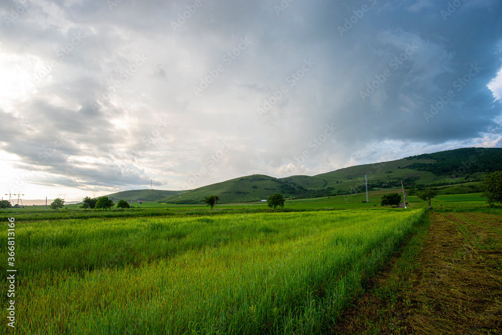 Summer landscape at the sunset after rain Summer landscape at the sunset after rain