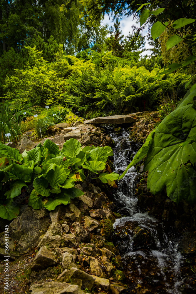 Mini waterfall in the botanical park in Lublin. - obrazy, fototapety, plakaty 