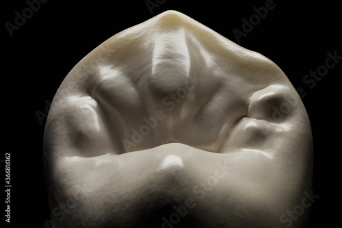 Принти на полотні Tooth morphology render