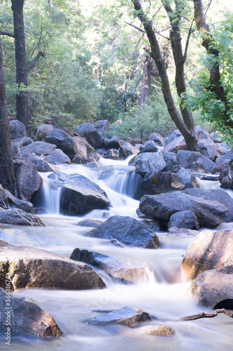 Waterfall Forest