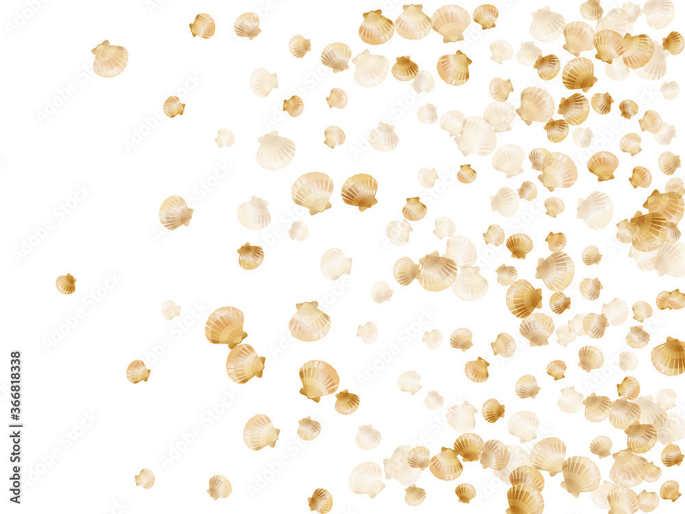 Gold chic seashells vector illustration, marine mollusks shells Gold chic seashells vector illustration, marine mollusks shells