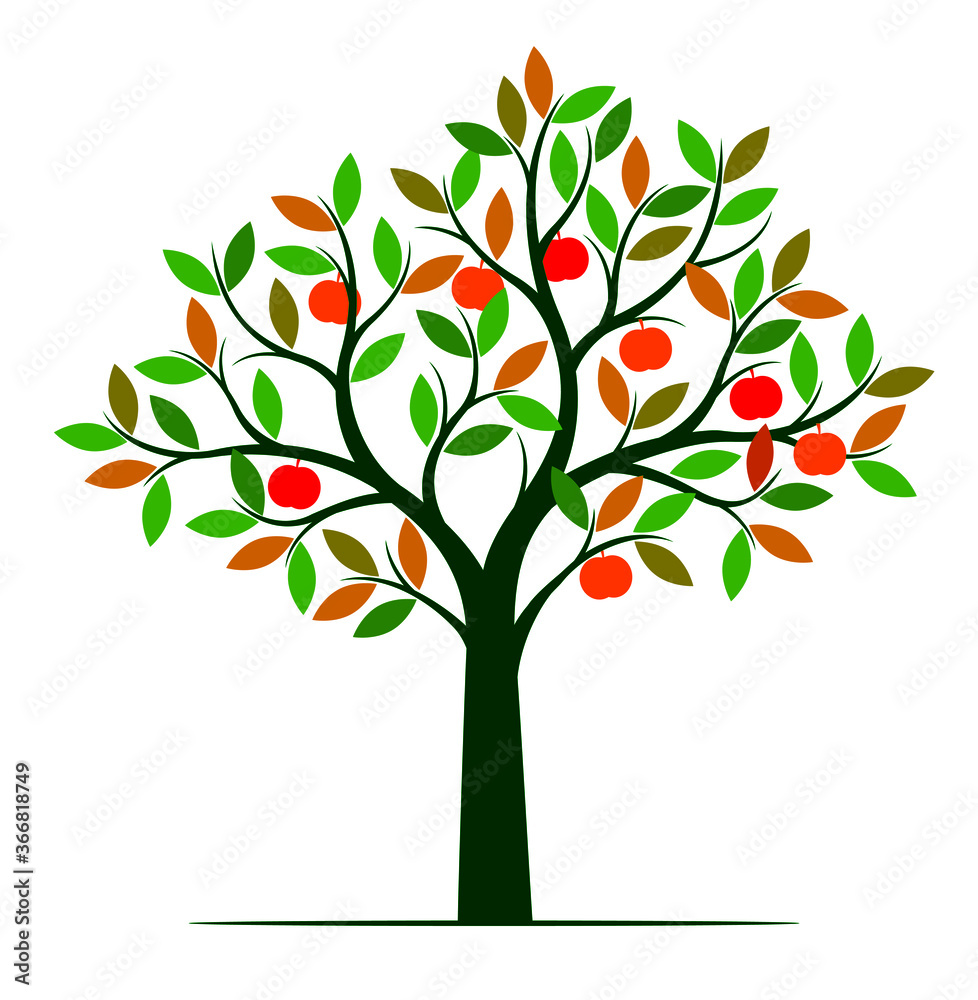 Shape of Tree with colour leaves and Fruits. Vector outline Illustration. Plant in Garden.