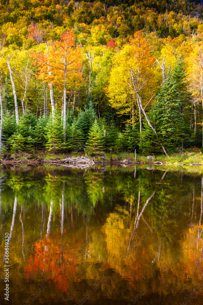 A reflection pond surrounded by hardwood trees in the autumn season showing peak fall colors in Adirondack National Park, Upper New York A reflection pond surrounded by hardwood trees in the autumn season showing peak fall colors in Adirondack National Park, Upper New York