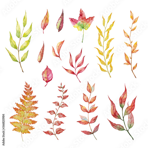 Vector Set of red autumn watercolor leaves and branches. Collection garden, wild foliage.
