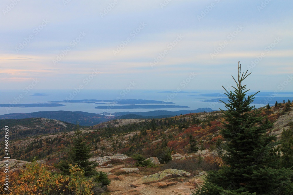 view from the top of the mountain, Acadia NP, ME