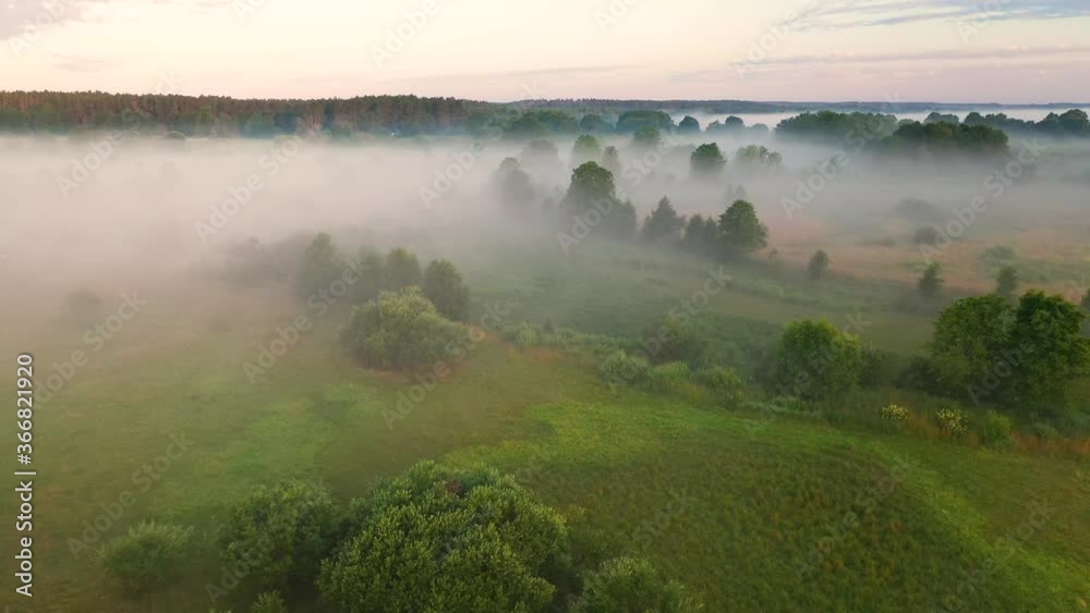 Beautiful evening with fog over the field. Landscape with forest and field Beautiful evening with fog over the field. Landscape with forest and field