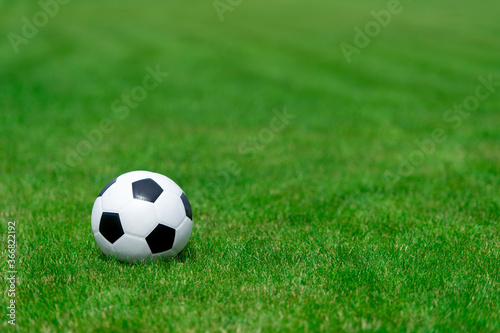 Black and white soccer ball on green soccer pitch. Team sport concept. © Augustas Cetkauskas