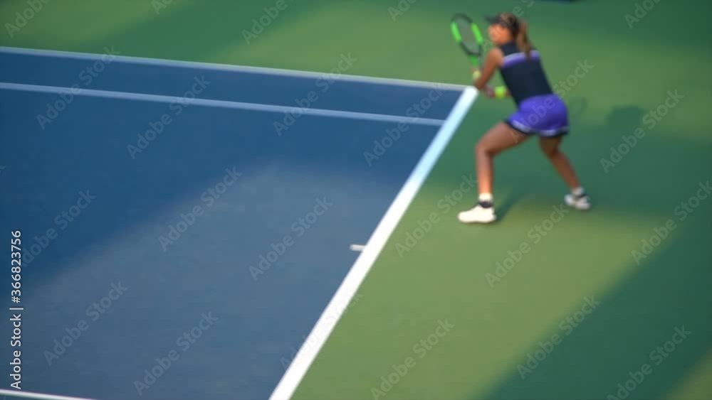 tennis player on the court tennis player on the court