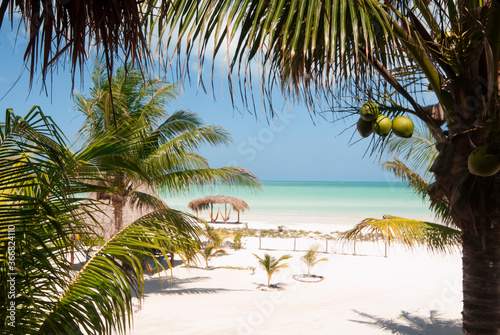 tropical garden beachfront ocean view, all in one, Holbox island, Mexico - a perfect place to relax photo