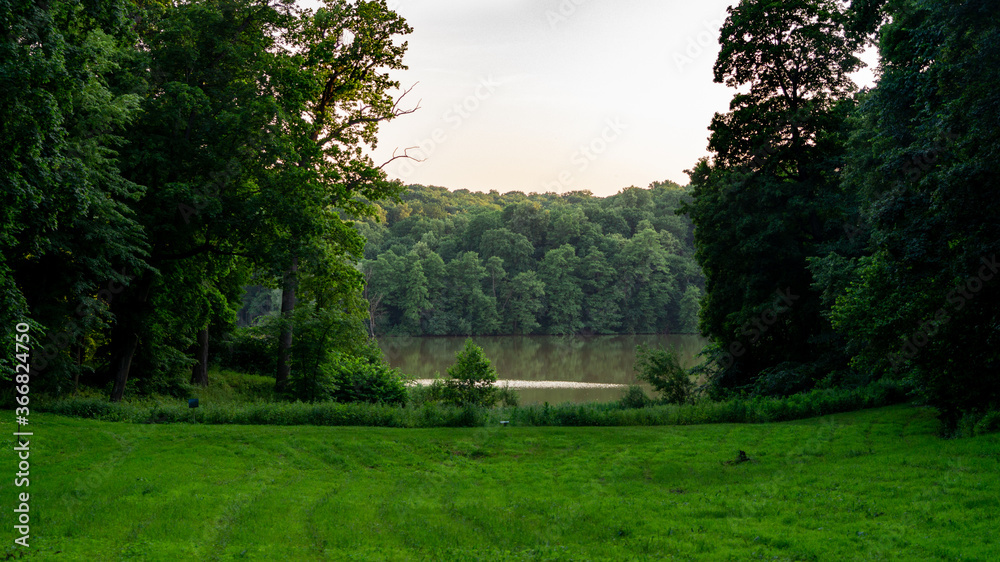 sunset in the park