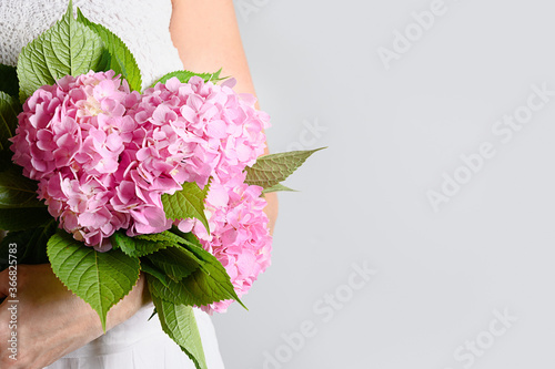 Fototapeta Naklejka Na Ścianę i Meble -  Bouquet of fresh pink hydrangea flower woman hands. Flowers delivery. Floral shop concept. Handsome fresh bouquet. Banner.