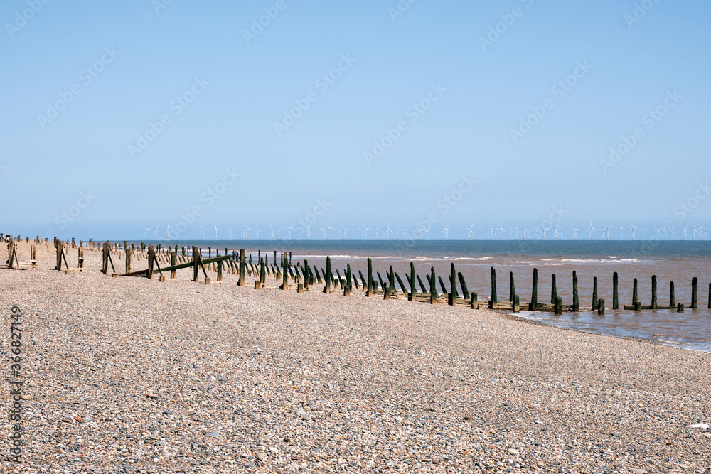Fototapeta premium Weathered wooden posts form a sea defence on Spurn Point beach, England. Colourful sea in the foreground and a North Sea wind turbine farm is in the background.