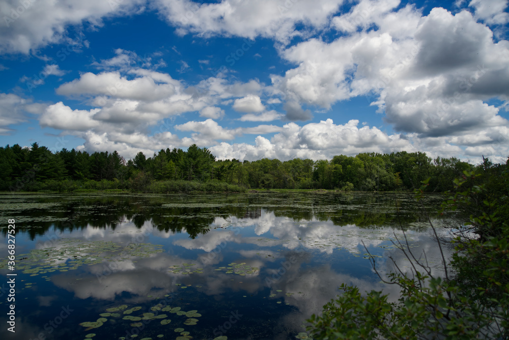 A beautiful lake on a summers day