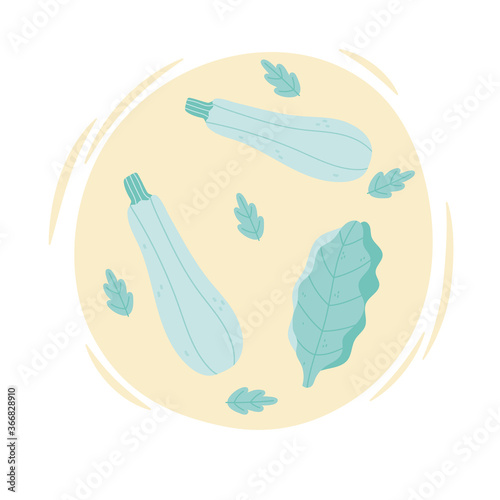 zucchini vegetable harvest organic healthy natural leaves design