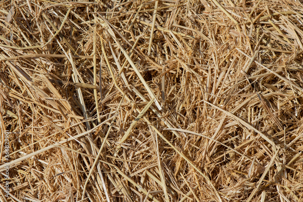 Rice Straw for animal bedding or garden mulch Rice Straw for animal bedding or garden mulch