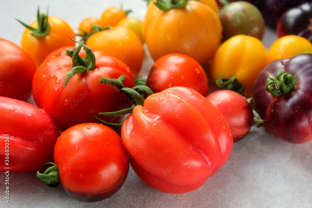 Multicolored tomatoes close-up on a white surface, selective focus. Multicolored tomatoes close-up on a white surface, selective focus.