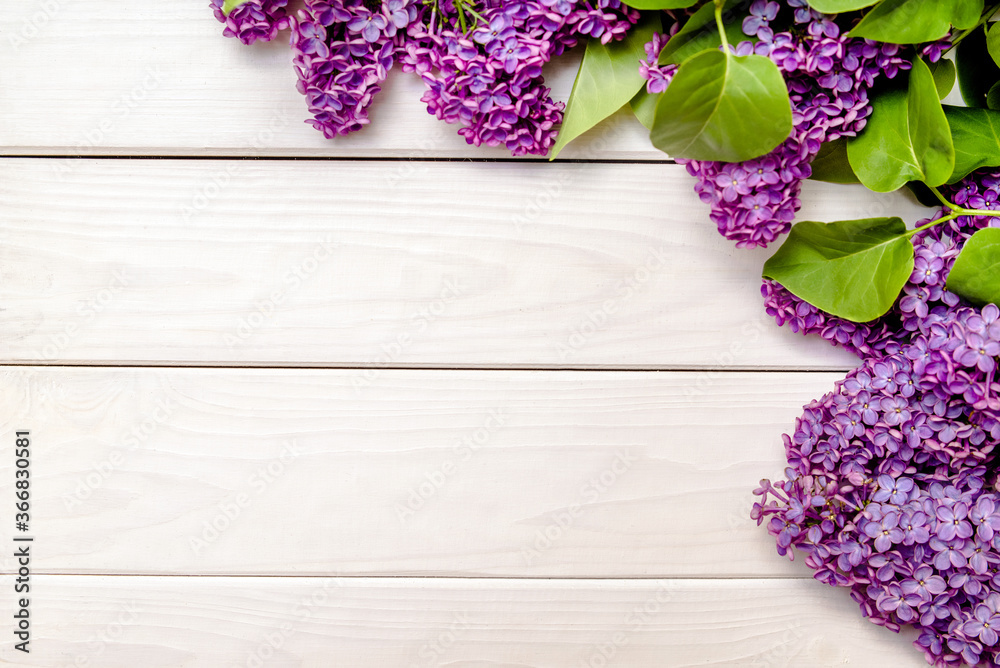 A bouquet of lilacs lies on a white wooden background
A bouquet of lilacs lies on a white wooden background