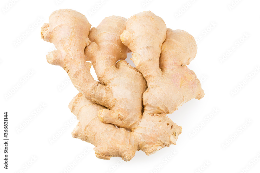 ginger roots isolated on white background. Top view ginger roots isolated on white background. Top view
