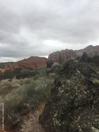 Desert Hike