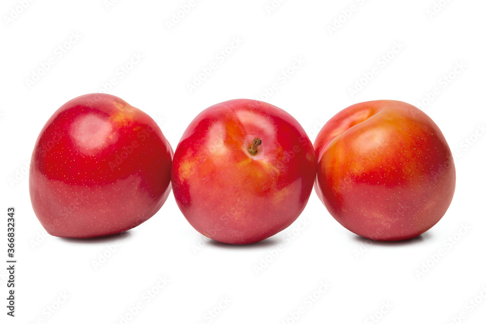 Fresh red plum isolated on white close-up