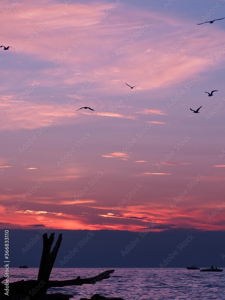 Obraz premium Pink sunset on Lake Michigan, Holland State Park beach