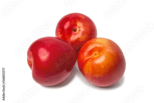 Fresh red plum isolated on white close-up