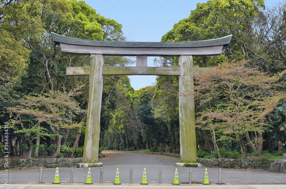 Torii gate made of Japanese cypress at Fukuoka's Gokoku Shrine. This torii happens to be the largest one in Japan made of raw wood. It is approximately thirteen metres in height.  04/07/2015