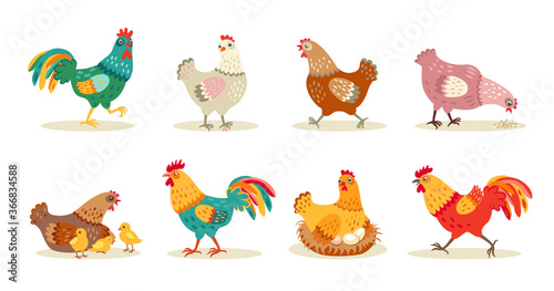 Various cute chickens flat icon set. Cartoon hens and roosters walking, standing, sitting in nest isolated vector illustration collection. Funny domestic birds, farm and poultry concept