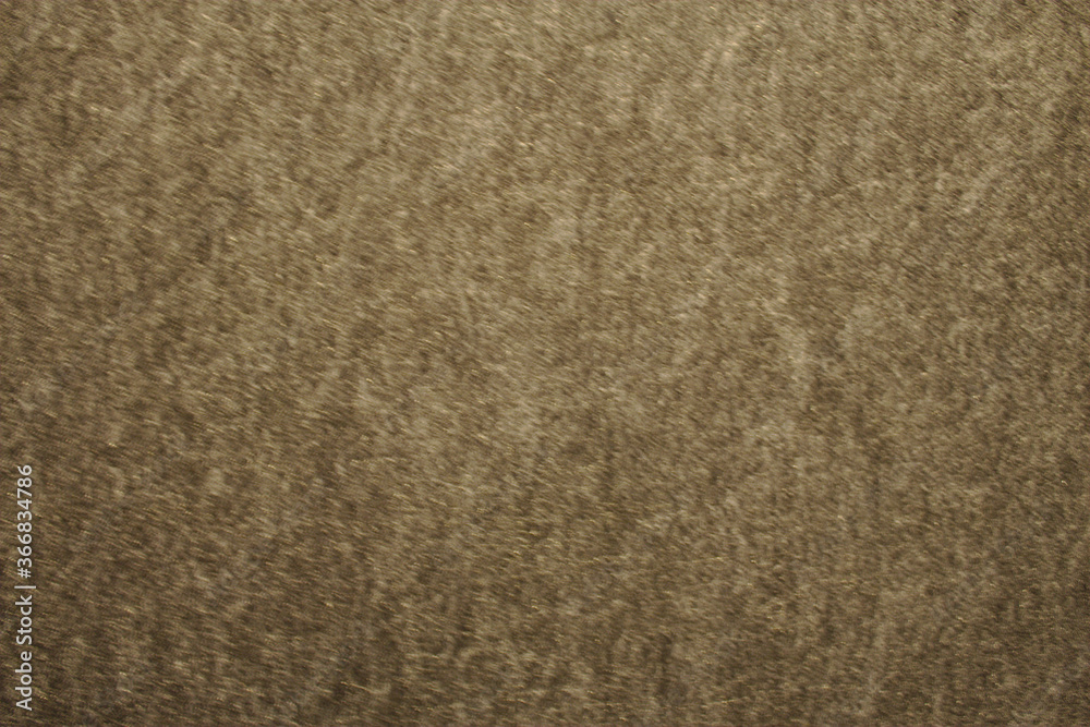 Fototapeta premium brown background