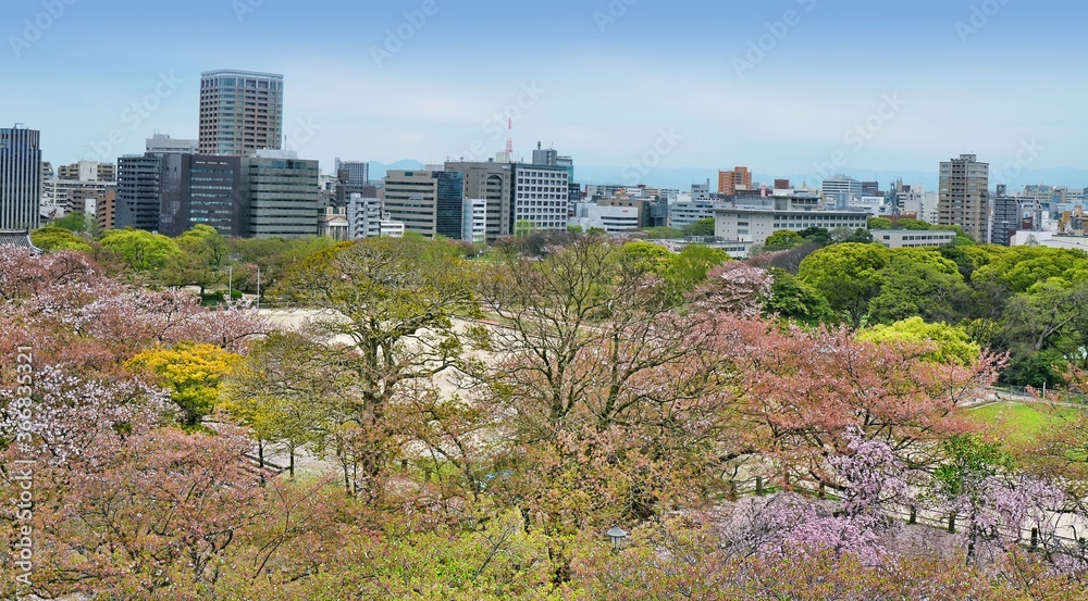 Obraz premium View of Fukuoka skyline from the ruins of Maizuru castle. Fukuoka city, Japan. 04-07-2015
