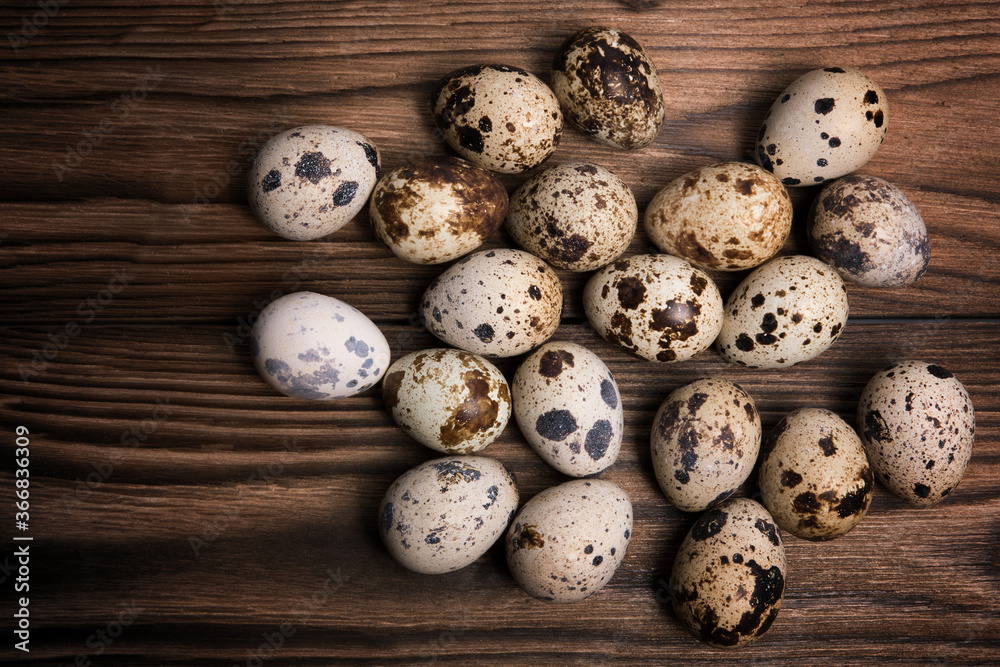 Quail eggs on a dark brown wooden background Quail eggs on a dark brown wooden background