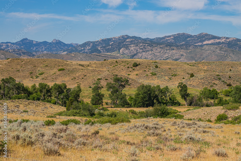 summer landscape in mountains