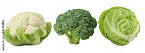 Different cabbage - broccoli, white and cauliflower, isolated on a white background.