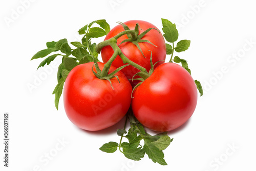 Ripe tomatoes with branches and leaves isolated on white background close-up