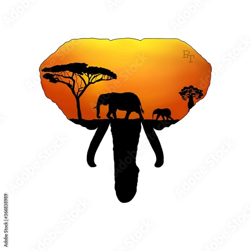 vector illustration of an elephant